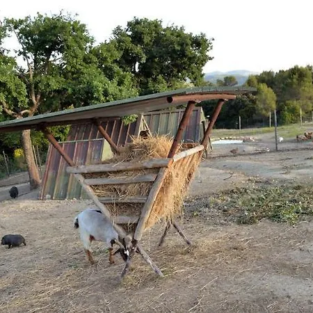 Tenuta Di Sorgnano 호텔 *